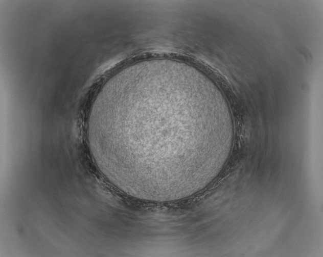 X0000112781207200909031623