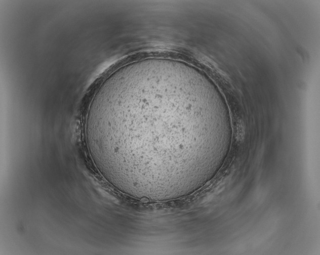 X0000112781208200909031623