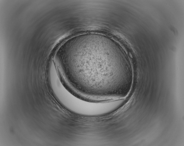 X0000112781210200909031623