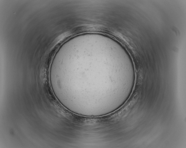 X0000112781211200909031623