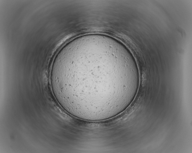 X0000112781212200909031623