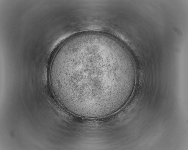 X0000112781214200909031623