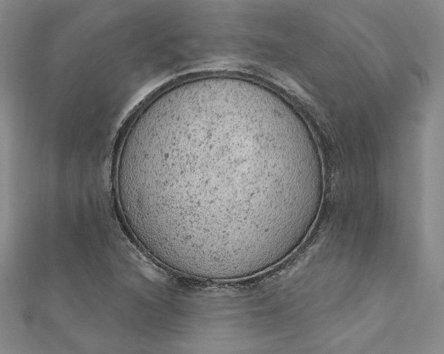 X0000112781216200909031623