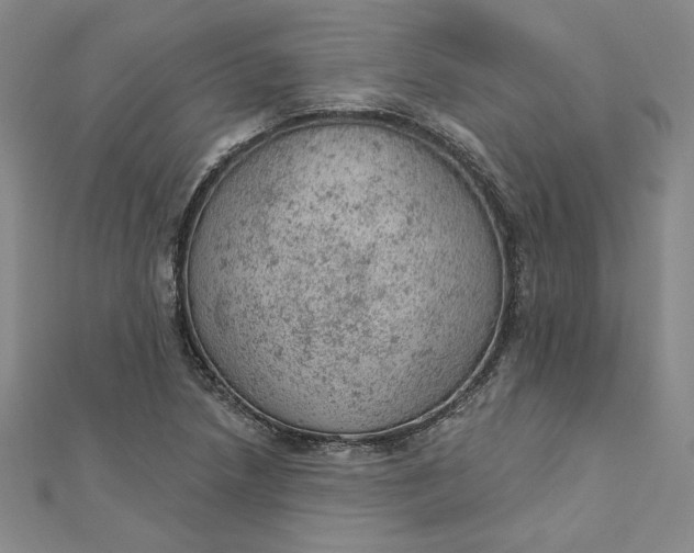 X0000112781218200909031623