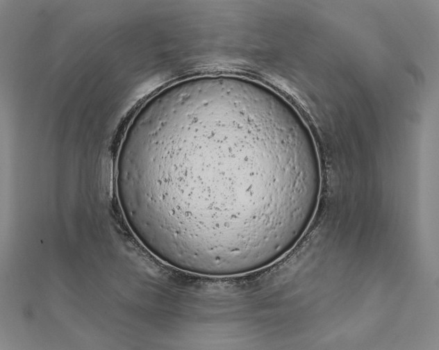 X0000112781219200909031623