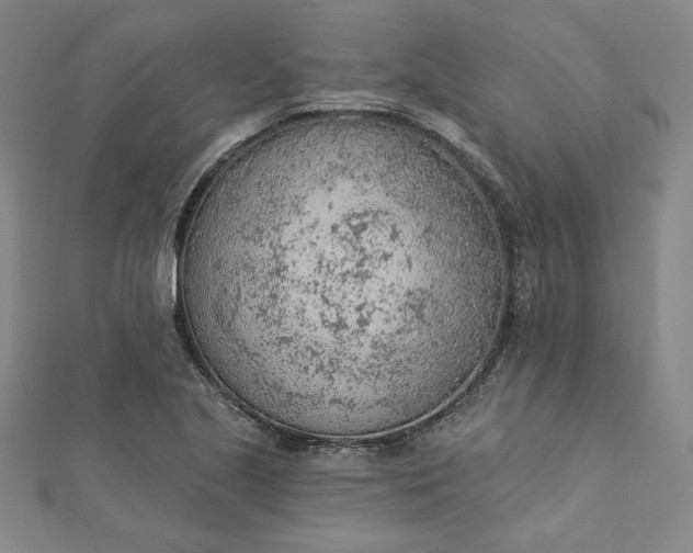 X0000112781221200909031623