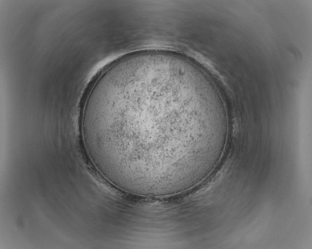 X0000112781222200909031623