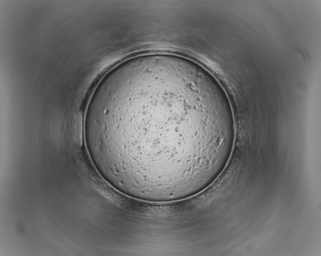 X0000112781223200909031623