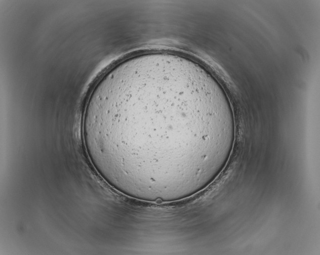 X0000112781224200909031623