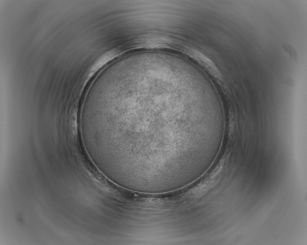 X0000112781226200909031623