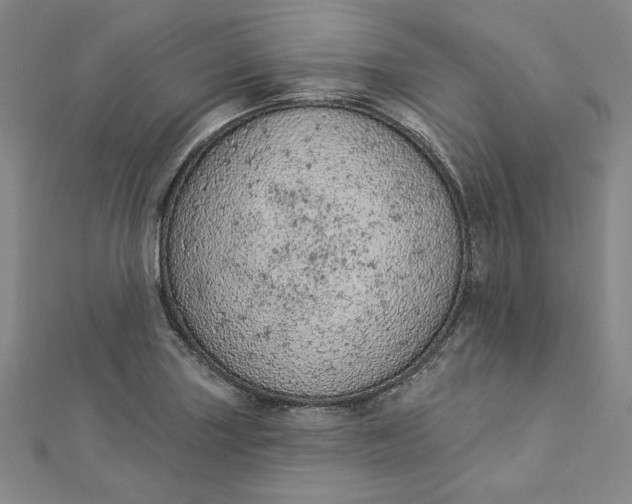 X0000112781227200909031623