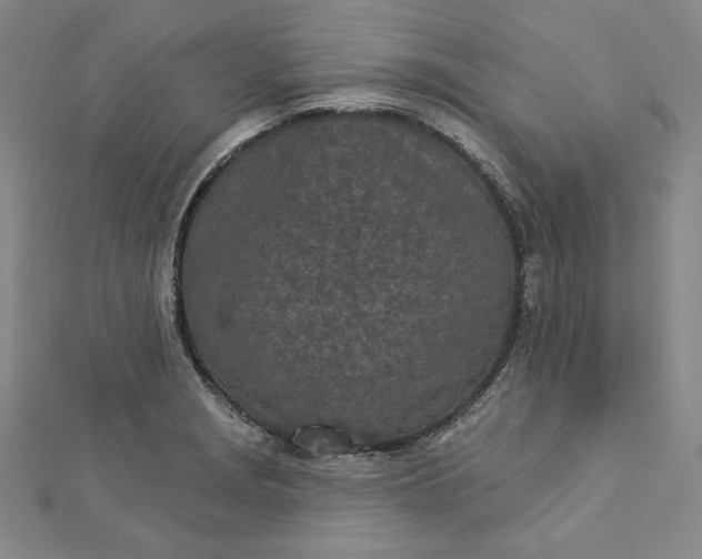 X0000112781229200909031623