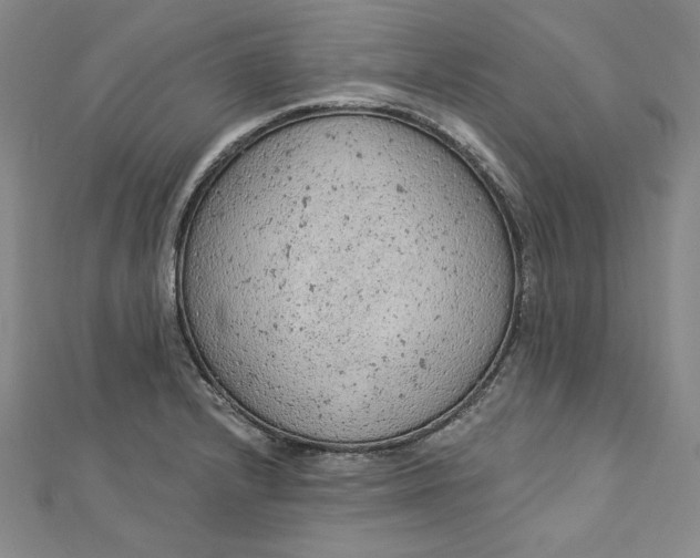 X0000112781232200909031623