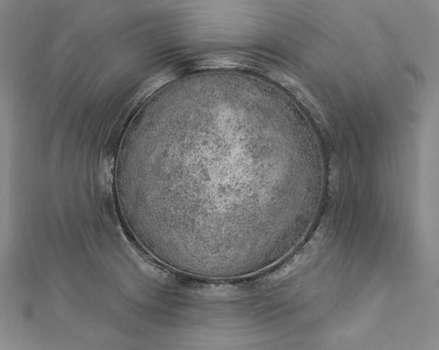 X0000112781233200909031623