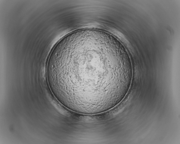 X0000112781234200909031623