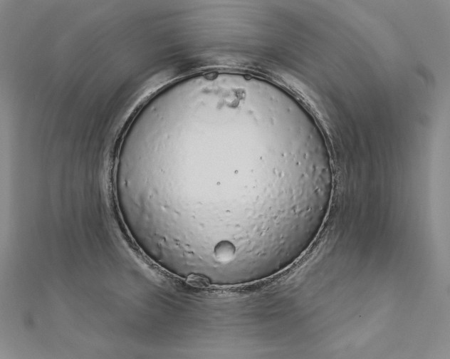 X0000112781235200909031623