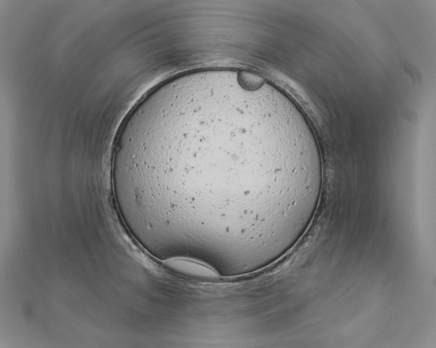 X0000112781236200909031623