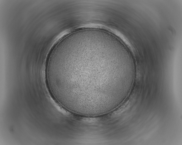 X0000112781237200909031623