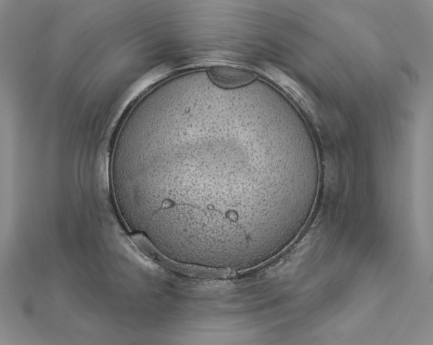 X0000112781238200909031623