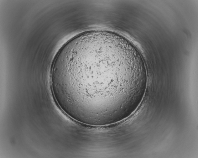 X0000112781239200909031623