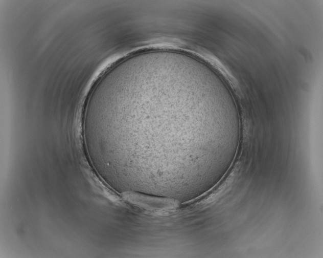 X0000112781240200909031623