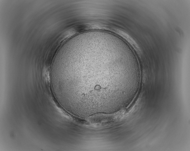 X0000112781241200909031623