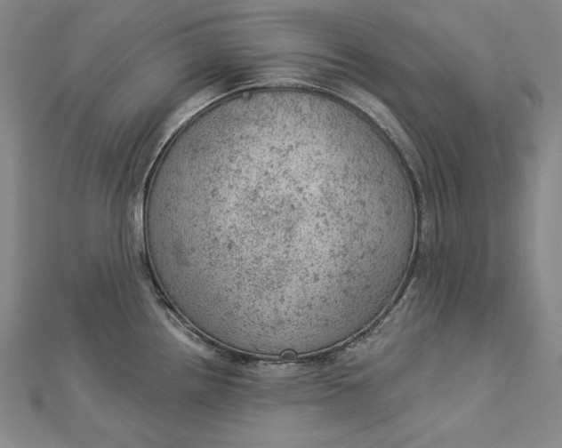 X0000112781242200909031623