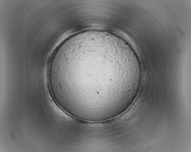 X0000112781243200909031623