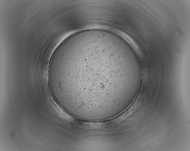 X0000112781244200909031623