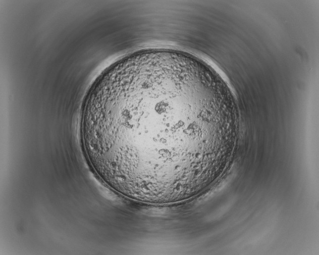 X0000112781245200909031623