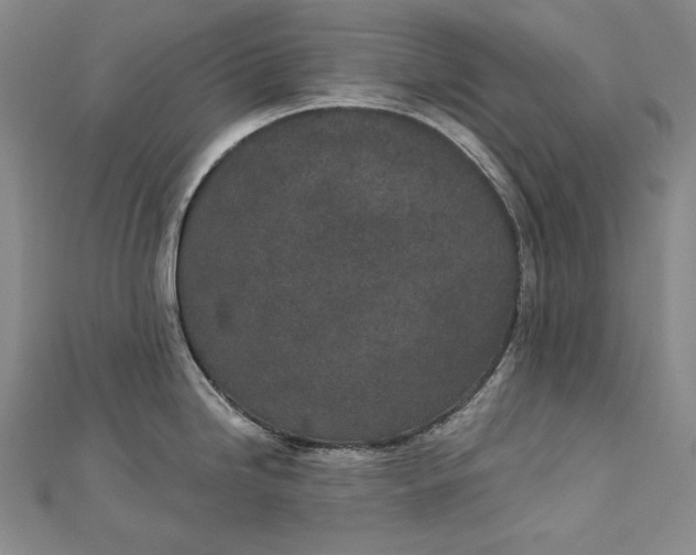 X0000112781246200909031623