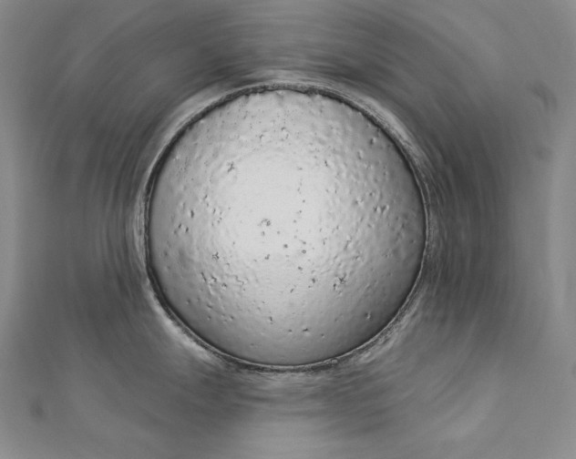 X0000112781247200909031623