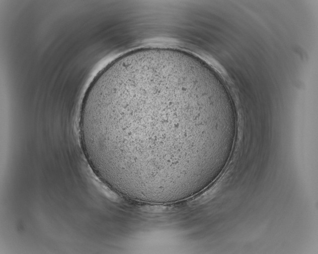 X0000112781248200909031623