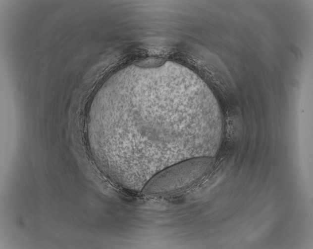 X0000112781249200909031623