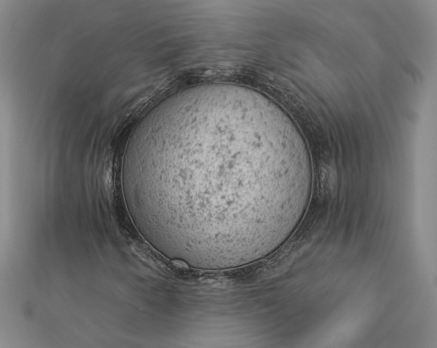 X0000112781250200909031623