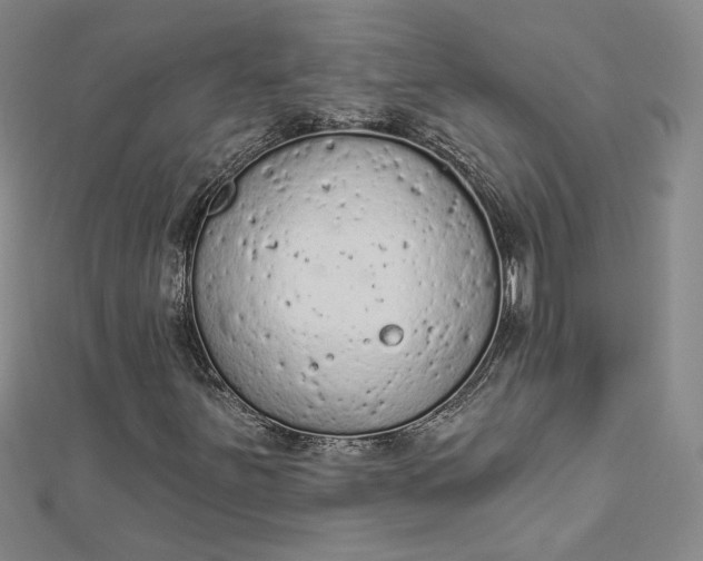 X0000112781251200909031622