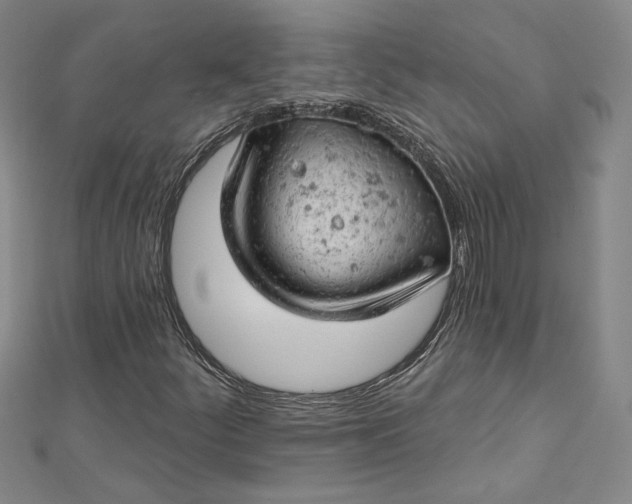 X0000112781252200909031622