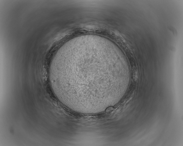 X0000112781253200909031622