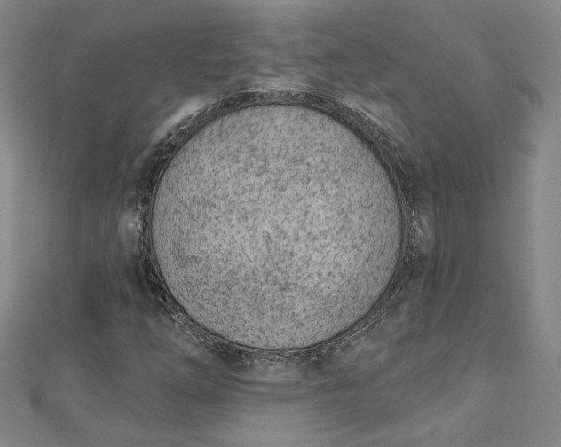 X0000112781254200909031622