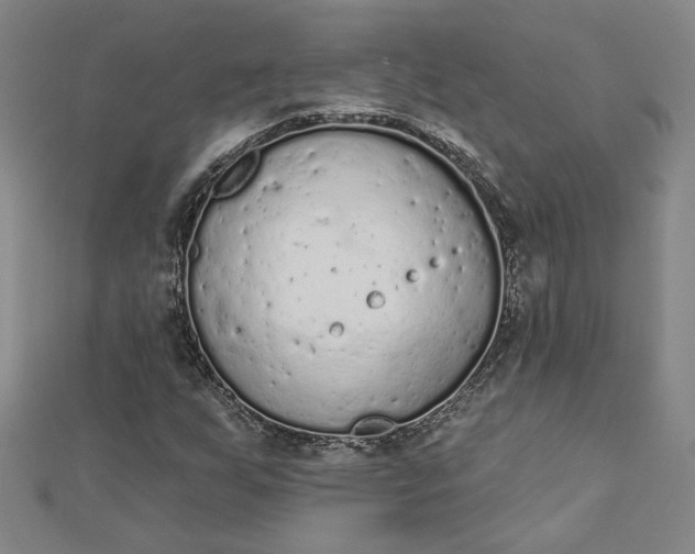 X0000112781255200909031622