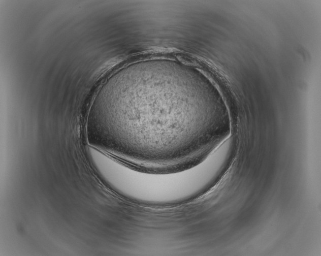 X0000112781257200909031622