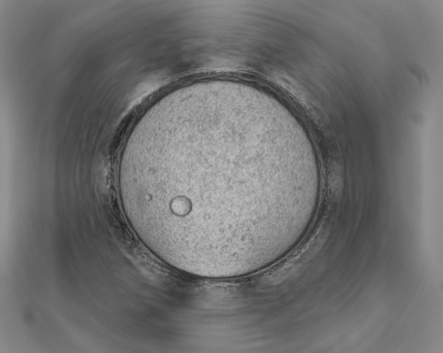 X0000112781258200909031622