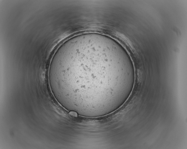 X0000112781260200909031622