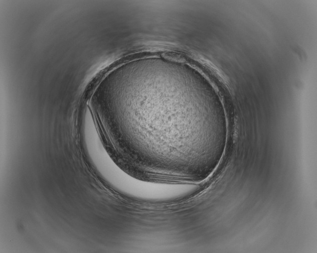 X0000112781261200909031622