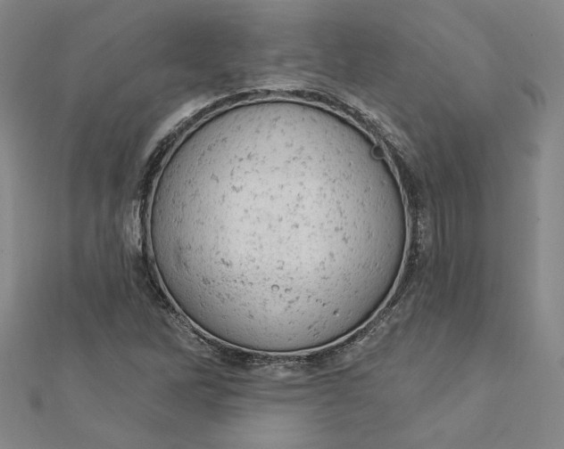 X0000112781262200909031622