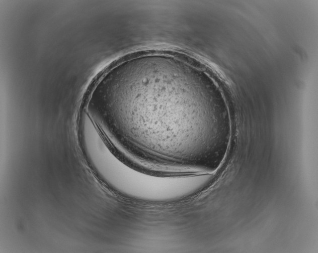 X0000112781264200909031622