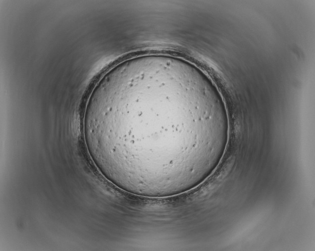 X0000112781267200909031622