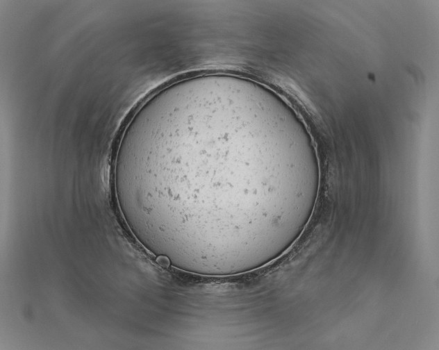 X0000112781268200909031622