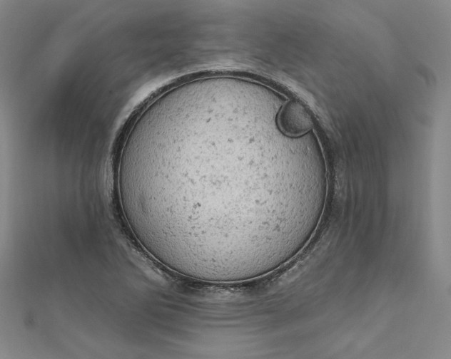 X0000112781270200909031622