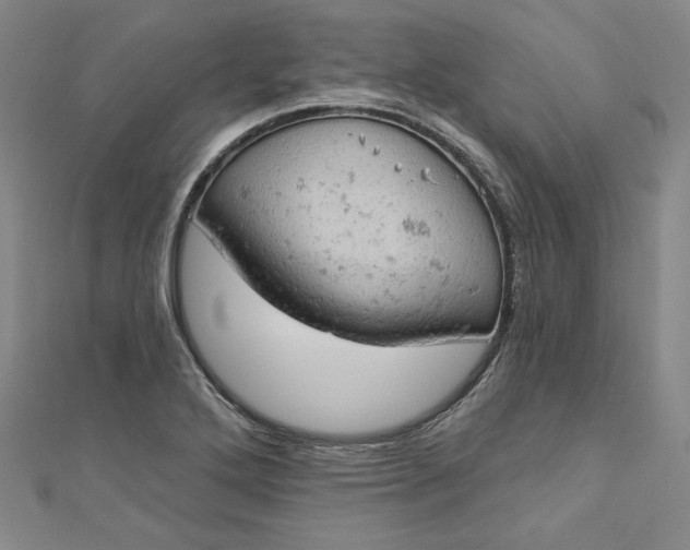 X0000112781272200909031622